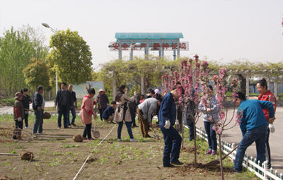 徐州國(guó)禎開展植樹活動(dòng)