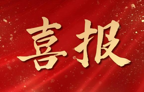 TOP 12！中節(jié)能國禎榮登中國品牌價值 “其他服務(wù)類”